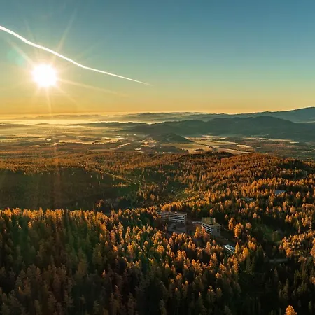 Smrek Martina Apr.c.57