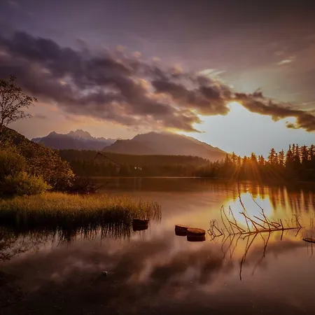 Smrek Martina Apr.c.57 *