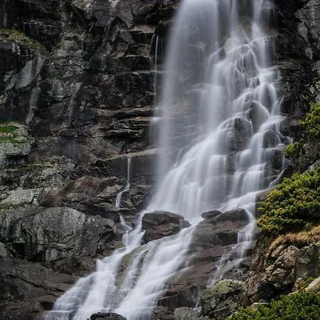 Smrek Martina Apr.c.57 * Štrbské Pleso