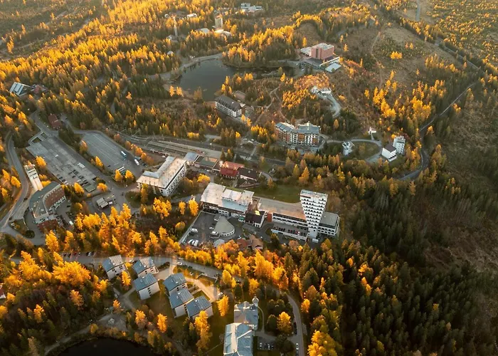 Smrek Martina Apr.c.57 Štrbské Pleso