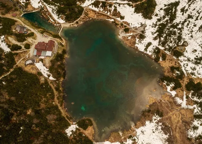 Smrek Martina Apr.c.57