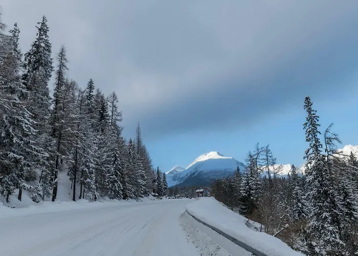 Smrek Martina Apr.c.57