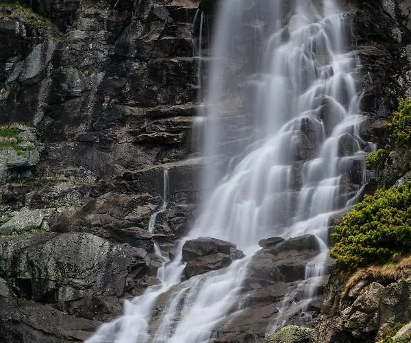Smrek Martina Apr.c.57 * Štrbské Pleso